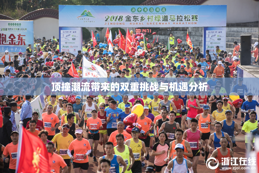 顶撞潮流带来的双重挑战与机遇分析
