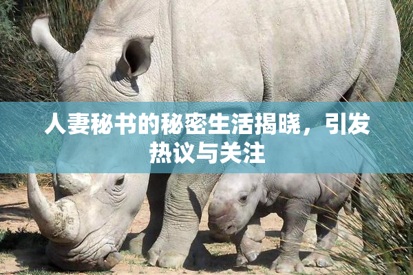 人妻秘书的秘密生活揭晓，引发热议与关注
