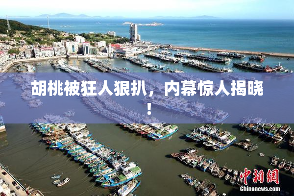 胡桃被狂人狠扒，内幕惊人揭晓！