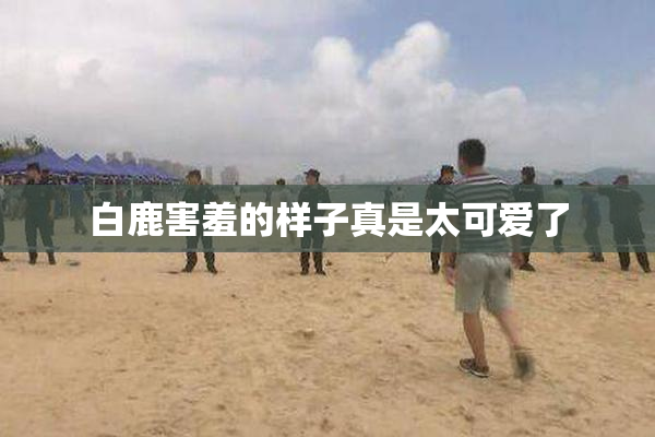 白鹿害羞的样子真是太可爱了