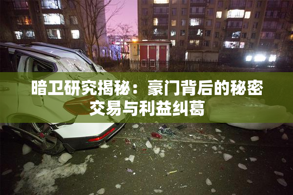 暗卫研究揭秘：豪门背后的秘密交易与利益纠葛