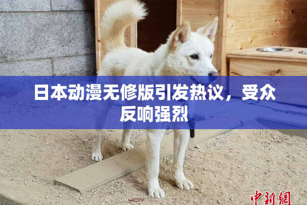 日本动漫无修版引发热议，受众反响强烈