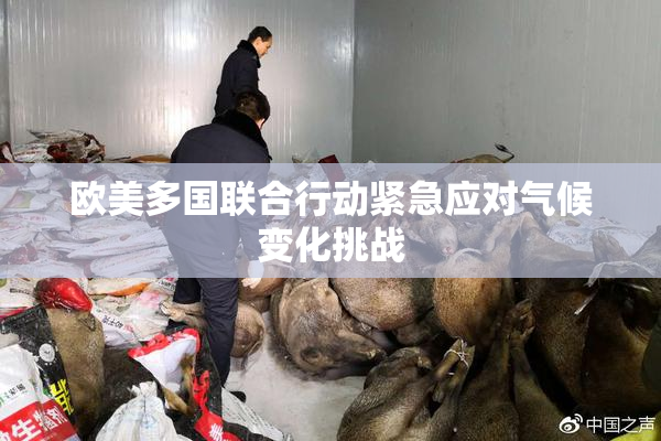欧美多国联合行动紧急应对气候变化挑战