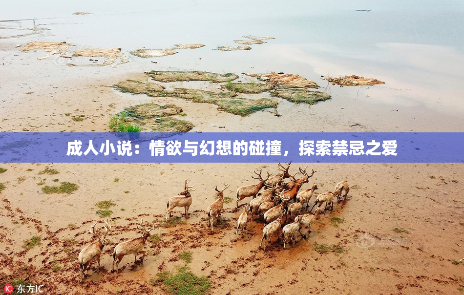成人小说：情欲与幻想的碰撞，探索禁忌之爱