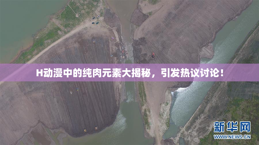 H动漫中的纯肉元素大揭秘，引发热议讨论！