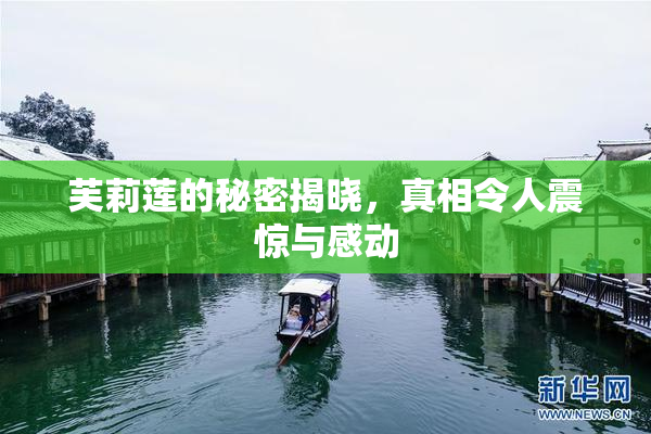芙莉莲的秘密揭晓，真相令人震惊与感动