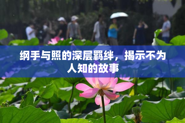 纲手与照的深层羁绊，揭示不为人知的故事