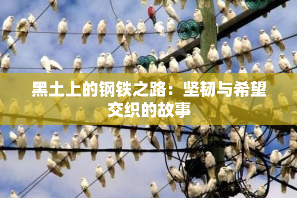 黑土上的钢铁之路：坚韧与希望交织的故事