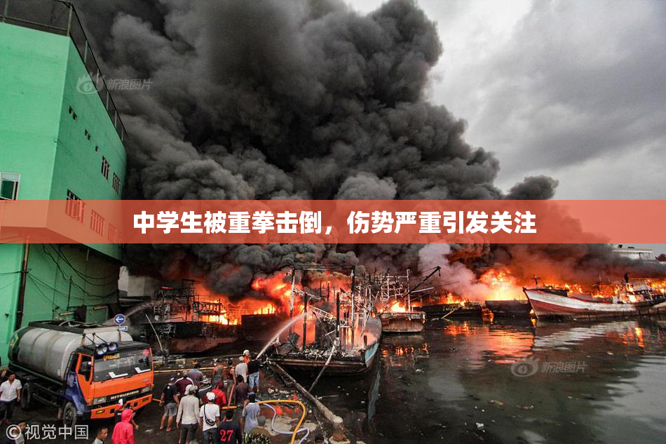 中学生被重拳击倒，伤势严重引发关注