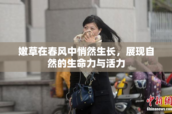 嫩草在春风中悄然生长，展现自然的生命力与活力