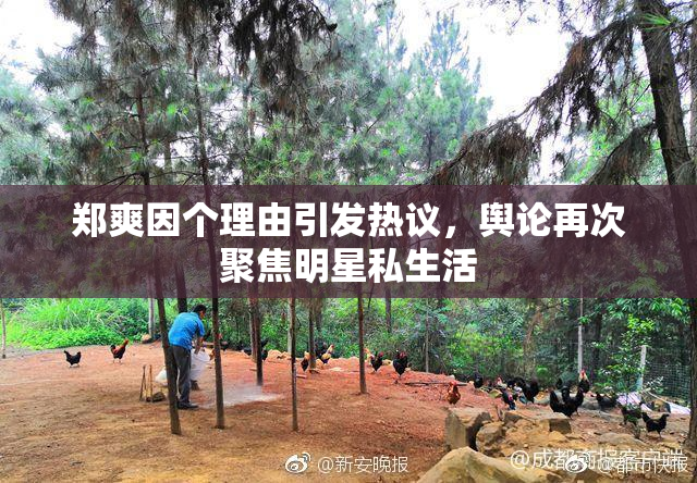 郑爽因个理由引发热议，舆论再次聚焦明星私生活