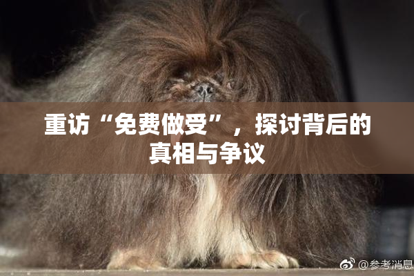 重访“免费做受”，探讨背后的真相与争议
