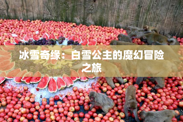 冰雪奇缘：白雪公主的魔幻冒险之旅