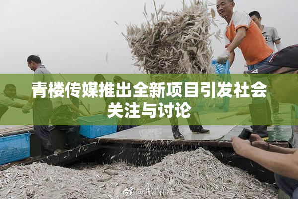 青楼传媒推出全新项目引发社会关注与讨论