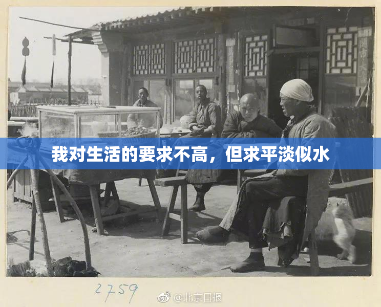 我对生活的要求不高，但求平淡似水