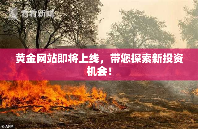 黄金网站即将上线，带您探索新投资机会！