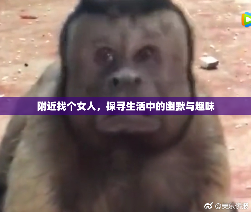 附近找个女人，探寻生活中的幽默与趣味