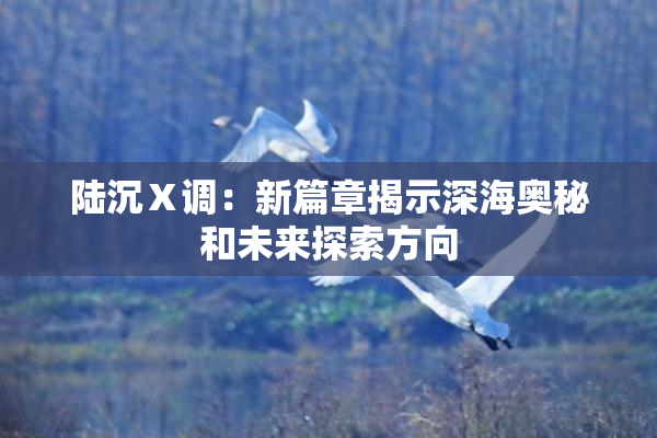 陆沉Ⅹ调：新篇章揭示深海奥秘和未来探索方向