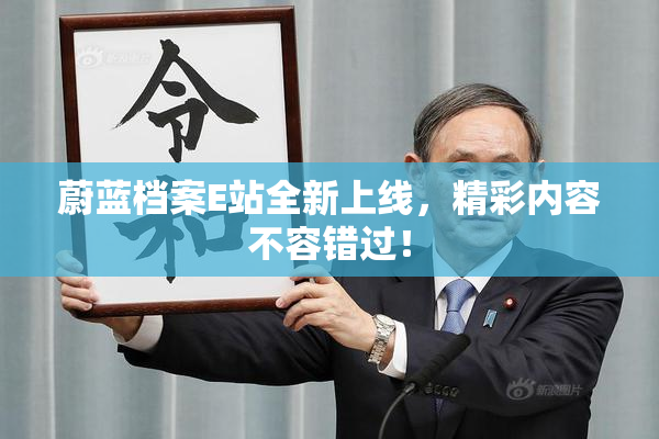 蔚蓝档案E站全新上线，精彩内容不容错过！