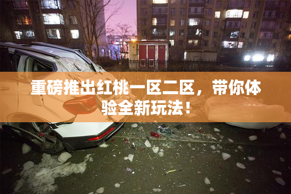 重磅推出红桃一区二区，带你体验全新玩法！