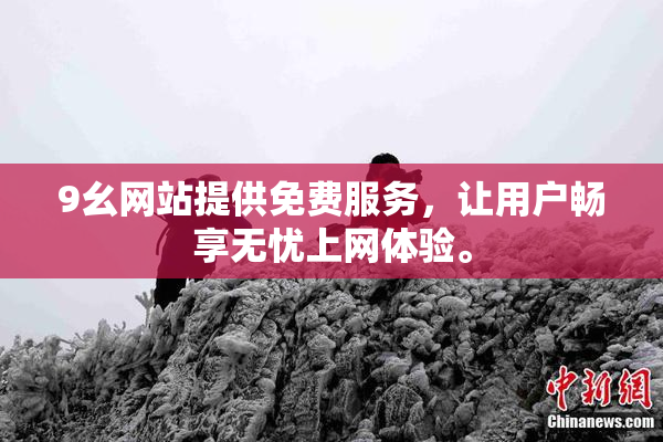 9幺网站提供免费服务，让用户畅享无忧上网体验。