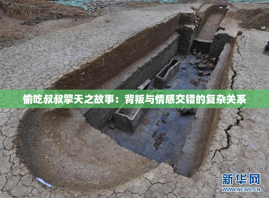 偷吃叔叔擎天之故事：背叛与情感交错的复杂关系