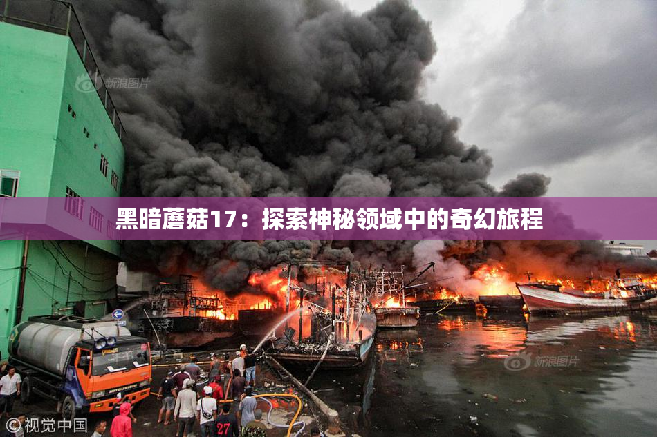 黑暗蘑菇17：探索神秘领域中的奇幻旅程