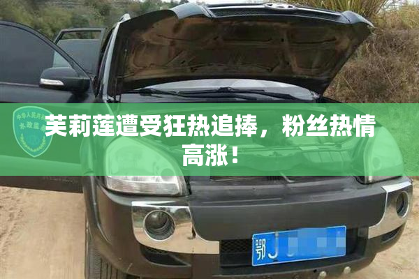 芙莉莲遭受狂热追捧，粉丝热情高涨！