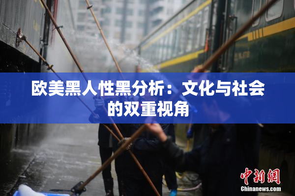 欧美黑人性黑分析：文化与社会的双重视角