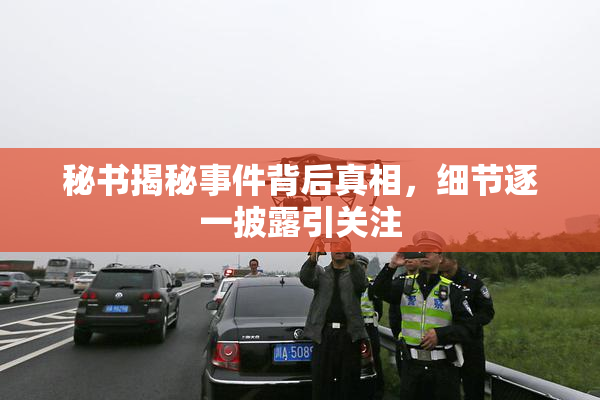 秘书揭秘事件背后真相，细节逐一披露引关注