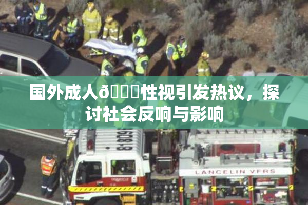 国外成人🔞性视引发热议，探讨社会反响与影响