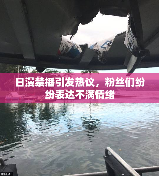 日漫禁播引发热议，粉丝们纷纷表达不满情绪