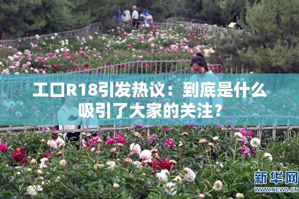工口R18引发热议：到底是什么吸引了大家的关注？