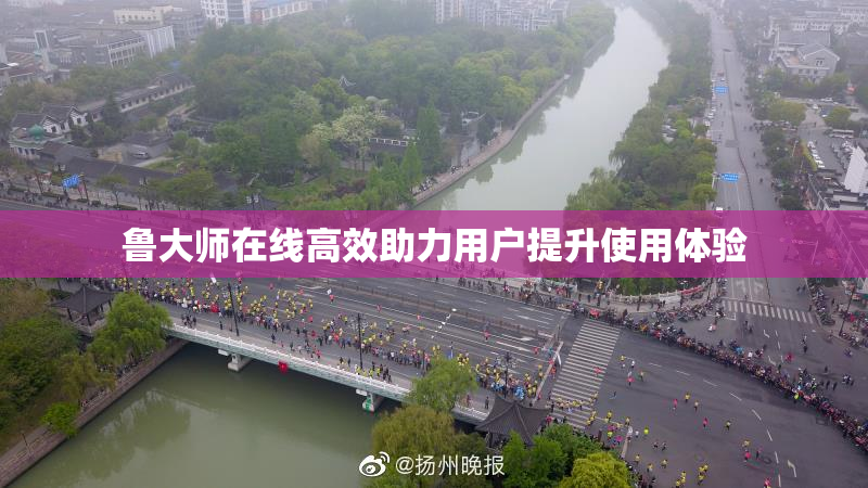 鲁大师在线高效助力用户提升使用体验