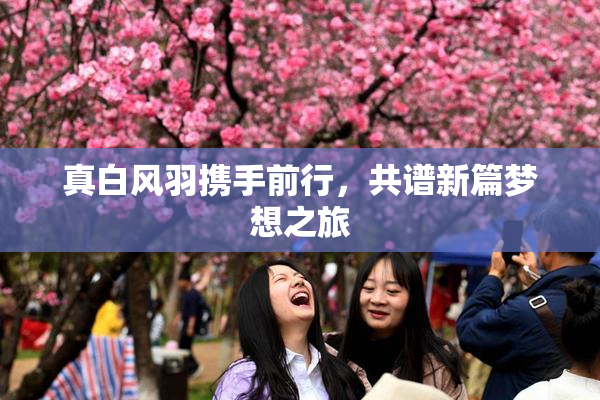 真白风羽携手前行，共谱新篇梦想之旅