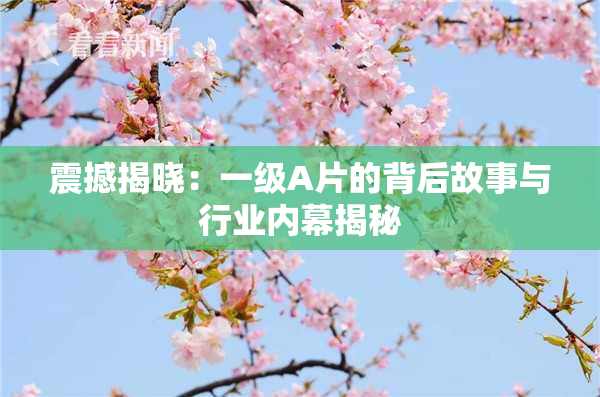 震撼揭晓：一级A片的背后故事与行业内幕揭秘