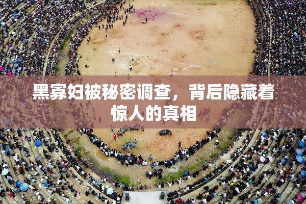 黑寡妇被秘密调查，背后隐藏着惊人的真相