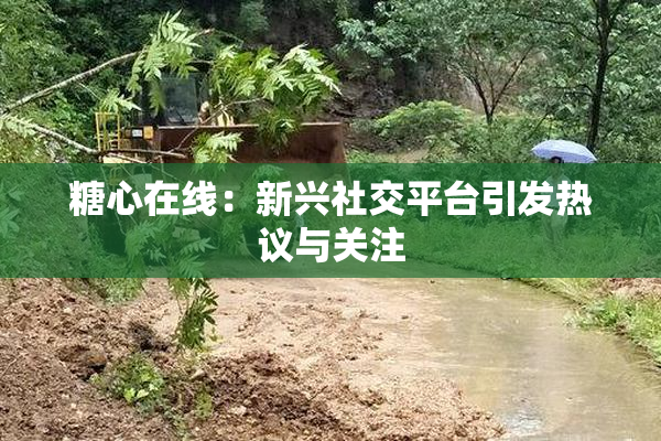 糖心在线：新兴社交平台引发热议与关注