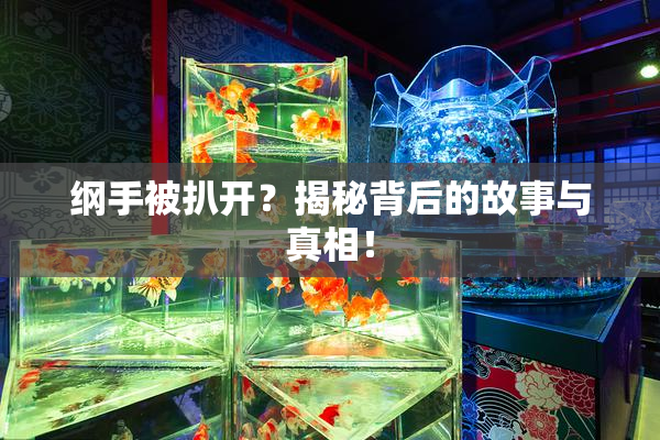 纲手被扒开？揭秘背后的故事与真相！