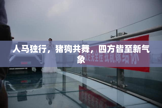 人马独行，猪狗共舞，四方皆至新气象