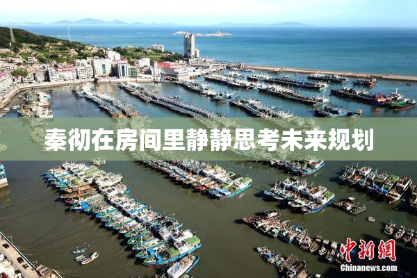 秦彻在房间里静静思考未来规划