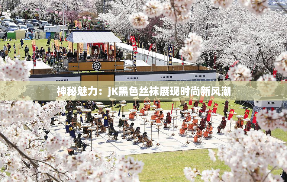 神秘魅力：jK黑色丝袜展现时尚新风潮