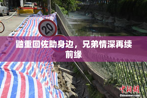 鼬重回佐助身边，兄弟情深再续前缘