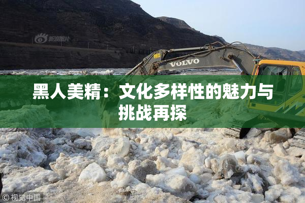 黑人美精：文化多样性的魅力与挑战再探