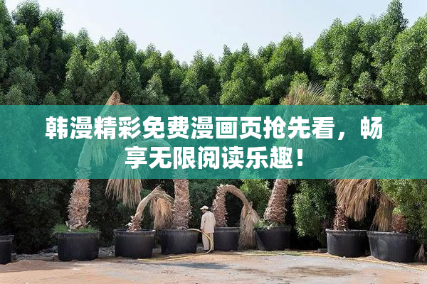 韩漫精彩免费漫画页抢先看，畅享无限阅读乐趣！