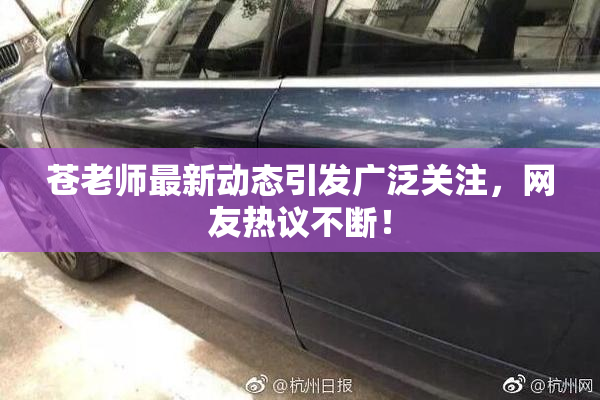 苍老师最新动态引发广泛关注，网友热议不断！
