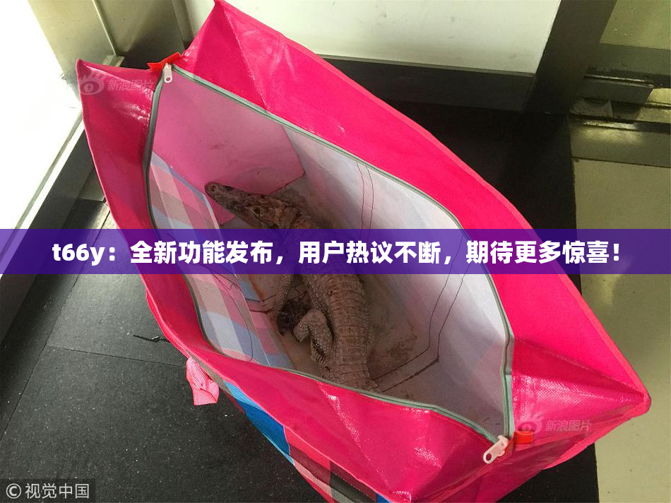 t66y：全新功能发布，用户热议不断，期待更多惊喜！