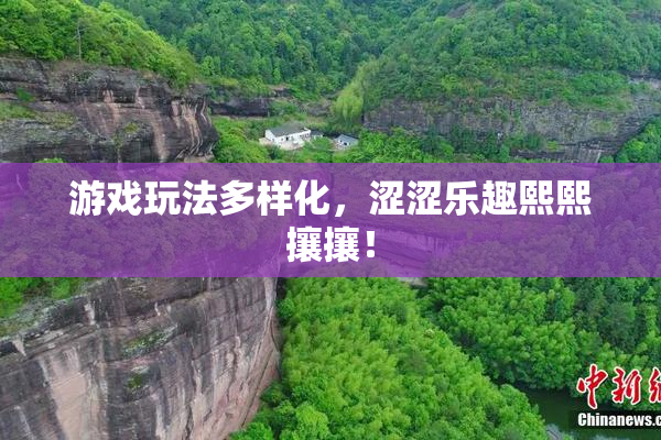 游戏玩法多样化，涩涩乐趣熙熙攘攘！