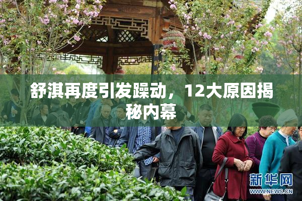 舒淇再度引发躁动，12大原因揭秘内幕