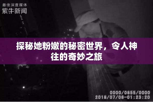 探秘她粉嫩的秘密世界，令人神往的奇妙之旅